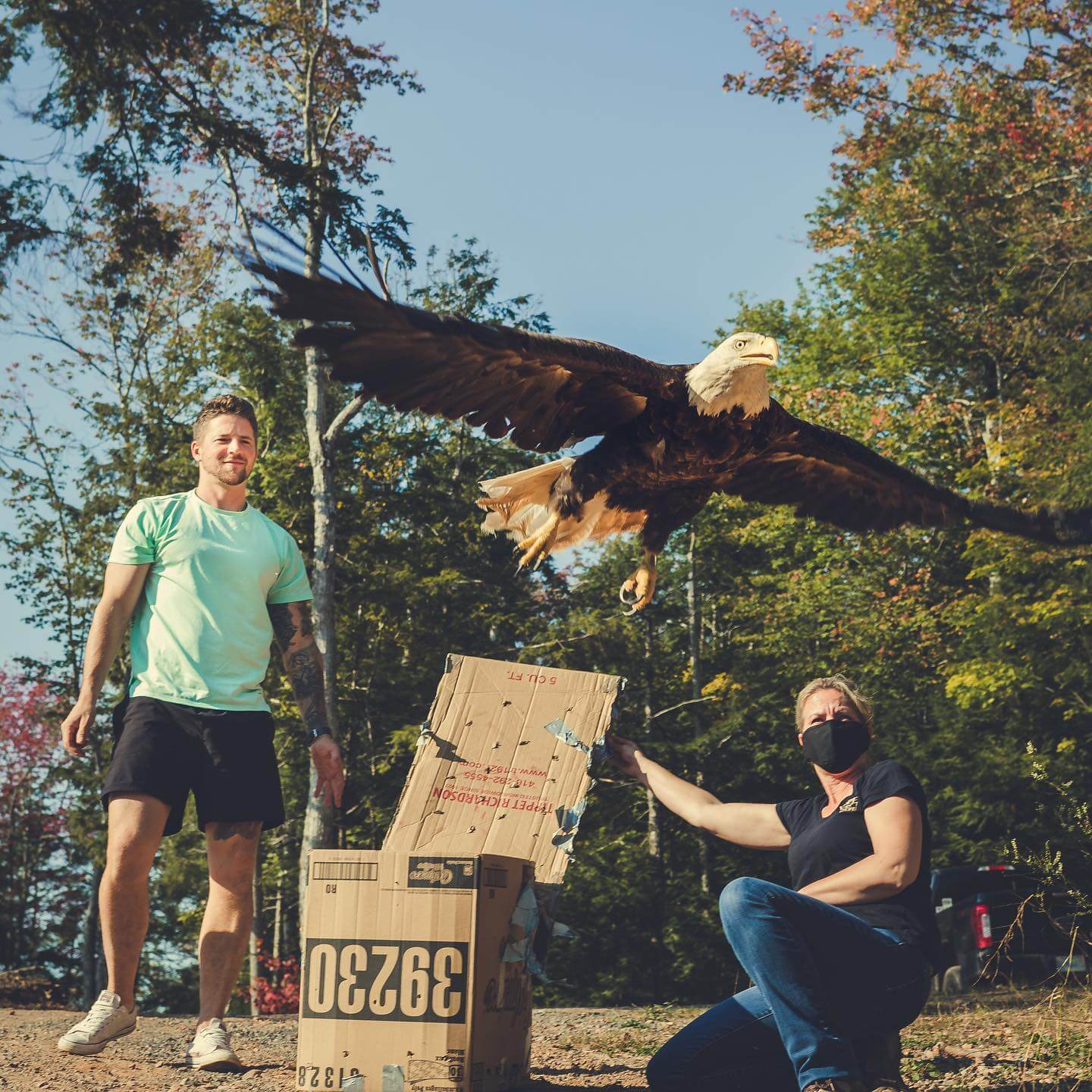 Emmett releasing the rescued eagle of May of 2021, in 2022
